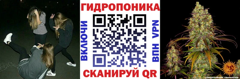 Шишки марихуана гибрид  Купить  Дрезна 